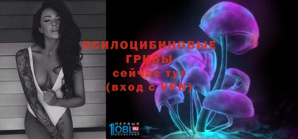 тгк Армянск