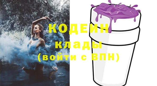 дурь Арсеньев